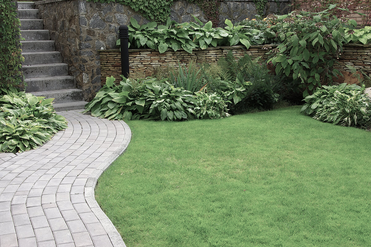 Welcome to BMR Landscaping